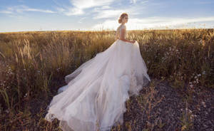 Wedding Dress In The Field Wallpaper