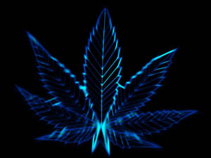 Weed In Neon Blue Wallpaper