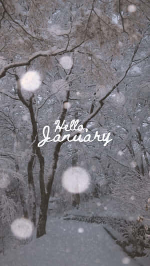 Welcome The New Year With Hello January Wallpaper