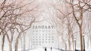 Welcome To The New Year! Wallpaper