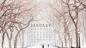 Welcome To The New Year! Wallpaper