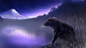Werewolf At Purple Lake Wallpaper