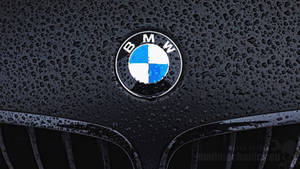 Wet Black Bmw M Hood Logo Wallpaper