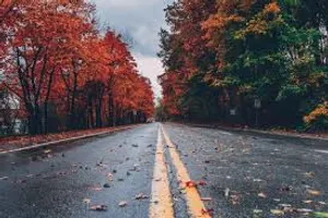 Wet Road Photo Background Wallpaper