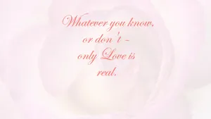 Whatever Light Pink Rose Wallpaper