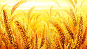 Wheat Field Painting Wallpaper