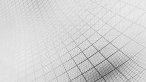 White Abstract Distorted Grid Lines Wallpaper