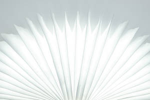 White Abstract Feather Wallpaper