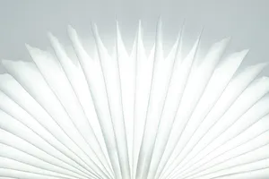 White Abstract Feather Wallpaper