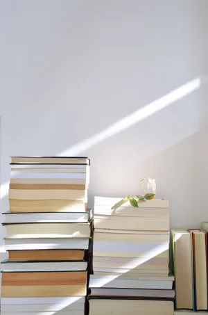 White Aesthetic Book Collection Wallpaper