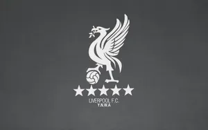 White And Gray Liverpool Fc Wallpaper