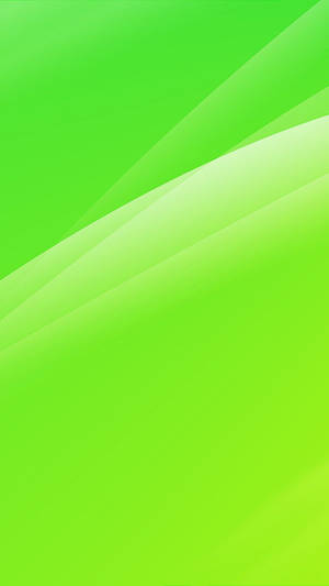 White And Light Green Phone Wallpaper