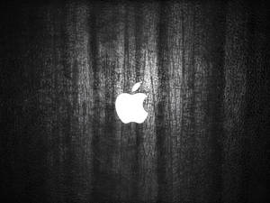 White Apple Logo 4k Wallpaper