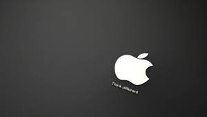 White Apple Logo 4k On Silver Gray Background Wallpaper