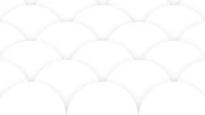 White Background Wallpaper Wallpaper