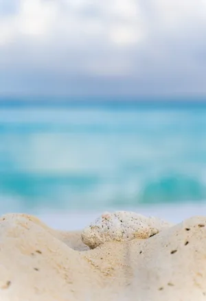 White Beach Stone Wallpaper