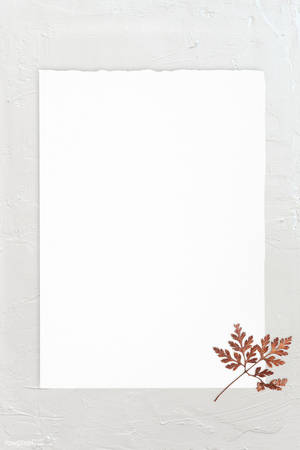 White Blank Page Autumn Paper Wallpaper