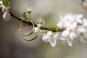 White Blossom Wedding Rings Wallpaper
