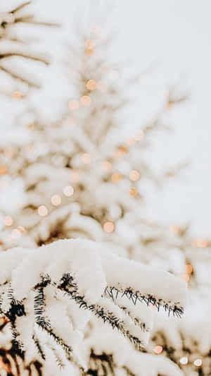 White Christmas Tree Iphone Wallpaper