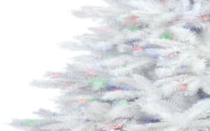 White Christmas Tree Rainbow Tint Wallpaper