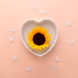 White Cup Sunflower Aesthetic Wallpaper