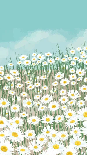 White Daisy Aesthetic Cute Art Wallpaper