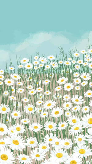 White Daisy Garden Wallpaper