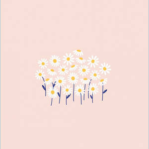 White Daisy On Pink Pastel Wallpaper