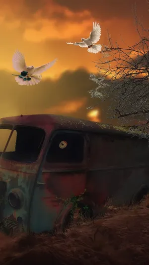 White Dove Old Rusty Van Wallpaper