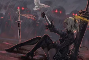 White Dove Rainy Night Wallpaper