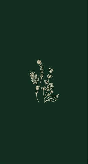 White Flowery Plants Plain Aesthetic Wallpaper