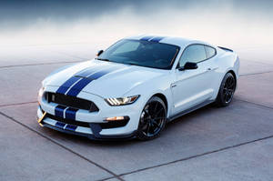 White Ford Shelby Sports Car Wallpaper