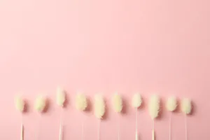 White Grass On Pink Background Wallpaper