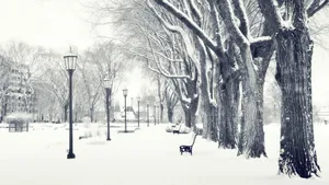 White Hd Winter Park Wallpaper