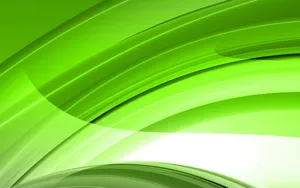 White Hijau Curve Wallpaper
