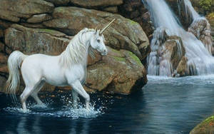 White Horse With Horn Wallpaper
