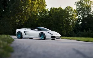 White Lamborghini Gallardo Spyder Top-down Car Wallpaper