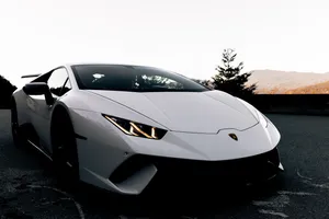 White Lamborghini Sports Car Wallpaper