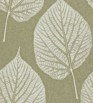 White Leaf Impression Wallpaper