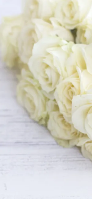 White Roses Iphone On White Wood Wallpaper