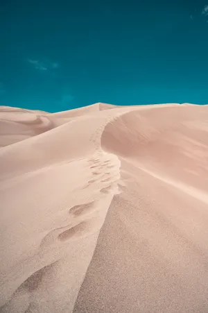 White Sand And Teal Sky Wallpaper