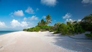 White Sandy Beach In Marshall Islands Wallpaper