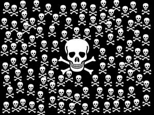 White Skull Wallpaper