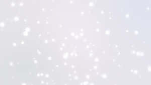 White Snowflakes Falling On A White Background Wallpaper