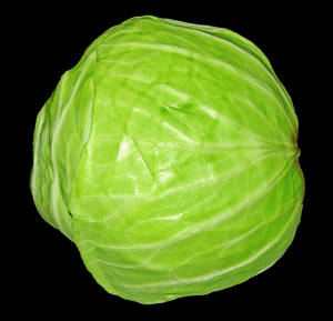 White Surface Cabbage Wallpaper