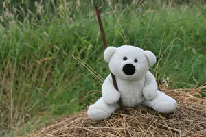 White Teddy Bear Wallpaper