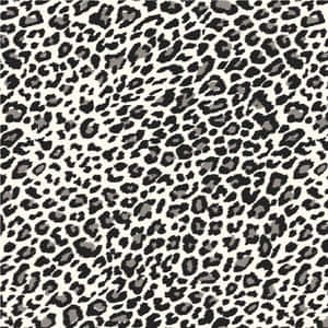 White Tiger Black And White Animal Print Wallpaper