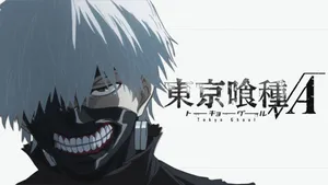 White Tokyo Ghoul Kaneki Wallpaper