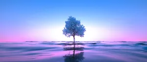 White Tree In A Dream Wallpaper