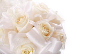 White Wedding Roses Wallpaper